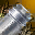 Silver Quiver