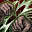 Mass Warrior Bane ID 1344