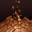 Earth Attacks Lv. 1