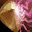 Greater Resist Paralysis Lv. 5