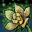 Deadly Poison Lv. 1