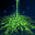 Curse of the Plains ID 6435