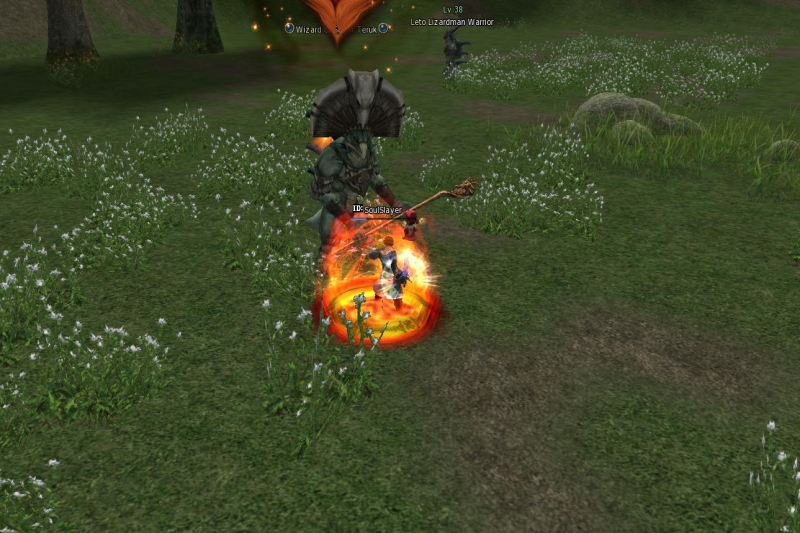 Solo Raidboss by mralucard